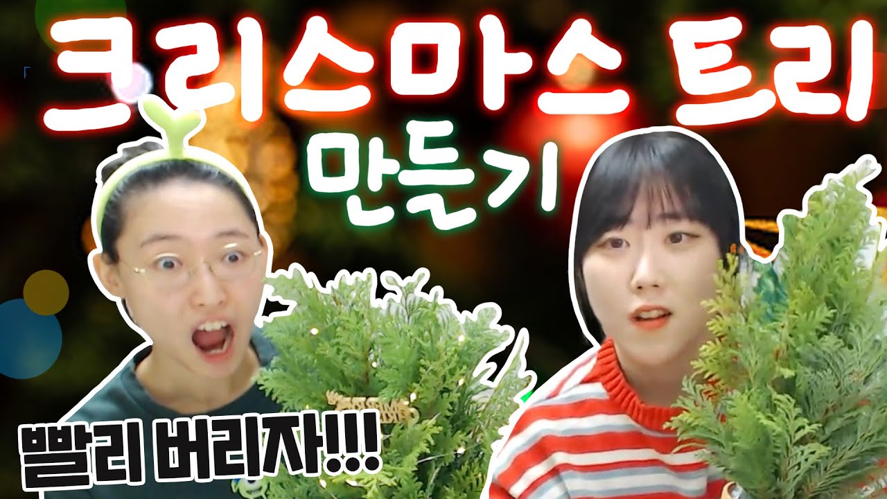 만들자마자 버려질 운명의 크리스마스 트리