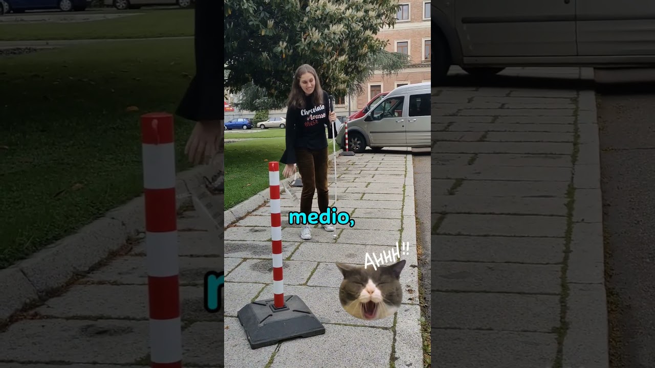 Tengo #discapacidad visual y claro que... (Edici&oacute;n Oficina de Ciencia Inclusiva, #CSIC)