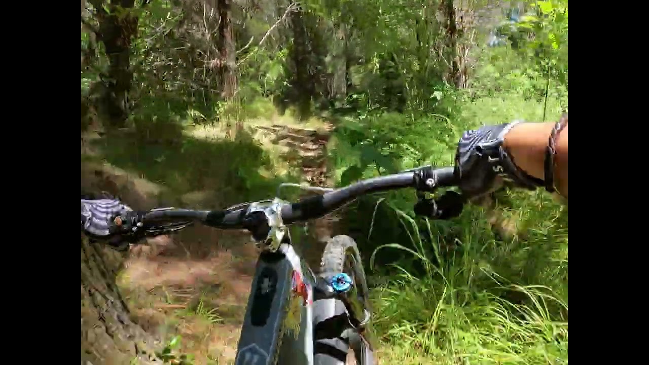 Whitehills Kerikeri MTB Club, Full Phloe, (incl Native). Grade Three