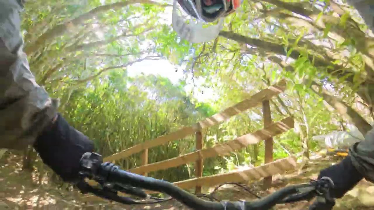 TRAIL 16 | TRACK READ