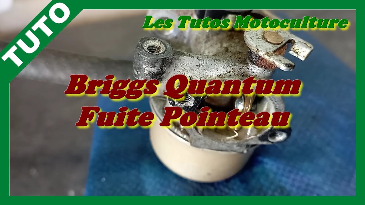 Briggs Quantum fuite essence , Remplacement pointeau + siège !!!