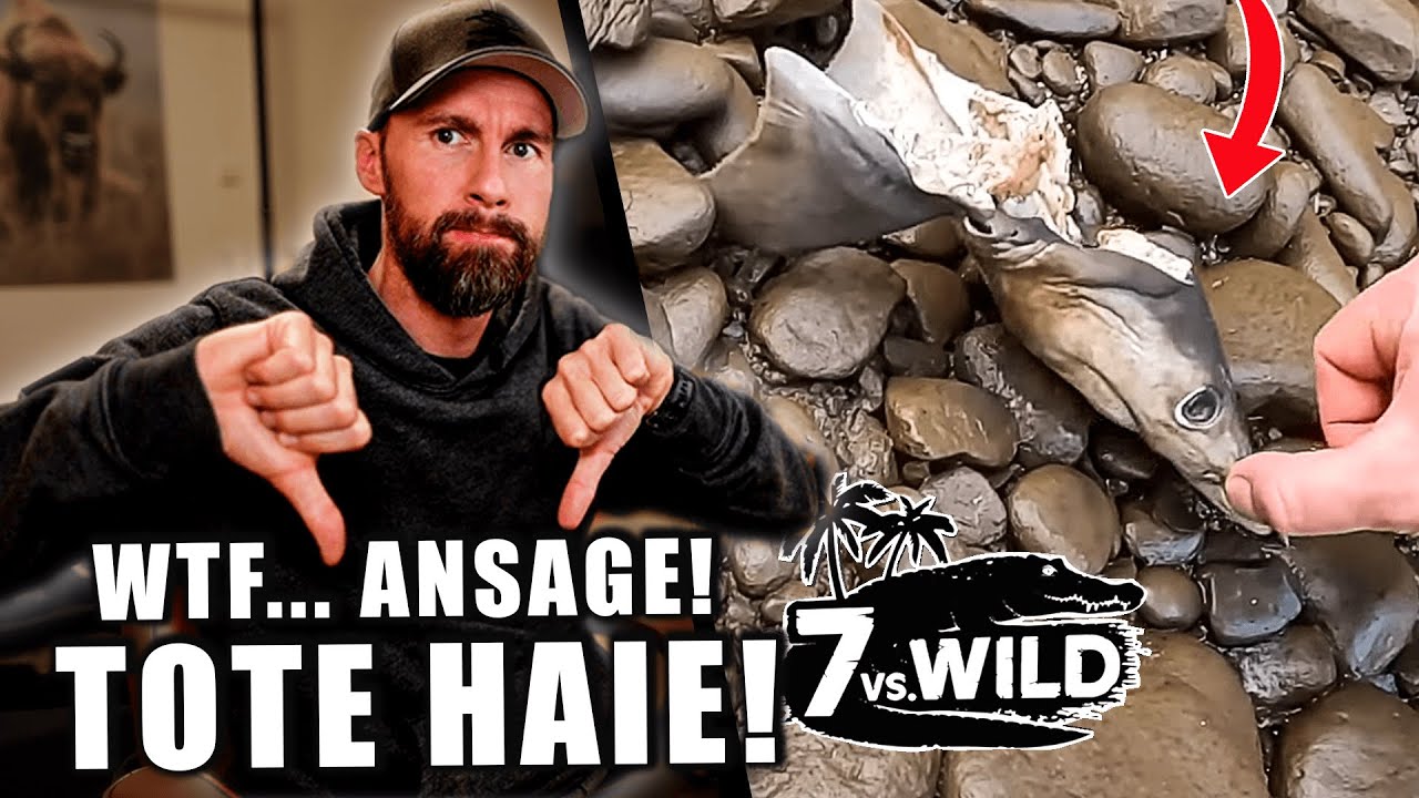 ANSAGE! ERMORDETE HAIE bei 7 VS. WILD! - BIOLOGE reagiert auf Folge 4 | Robert Marc Lehmann