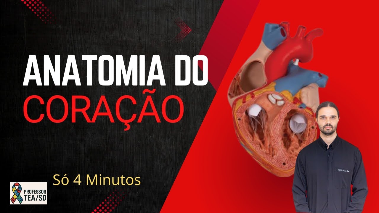Coração - Anatomia Humana