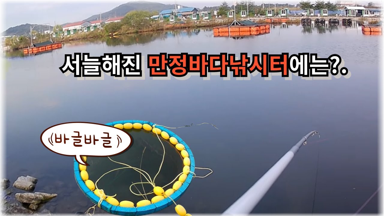 서늘해진 가을날씨에 만정바다낚시터는 어떤 어종이?? #fishing #바다낚시 #낚시 #바다낚시터 #도시어부 #좌대낚시 #유터 #참돔 #병어 #생활낚시