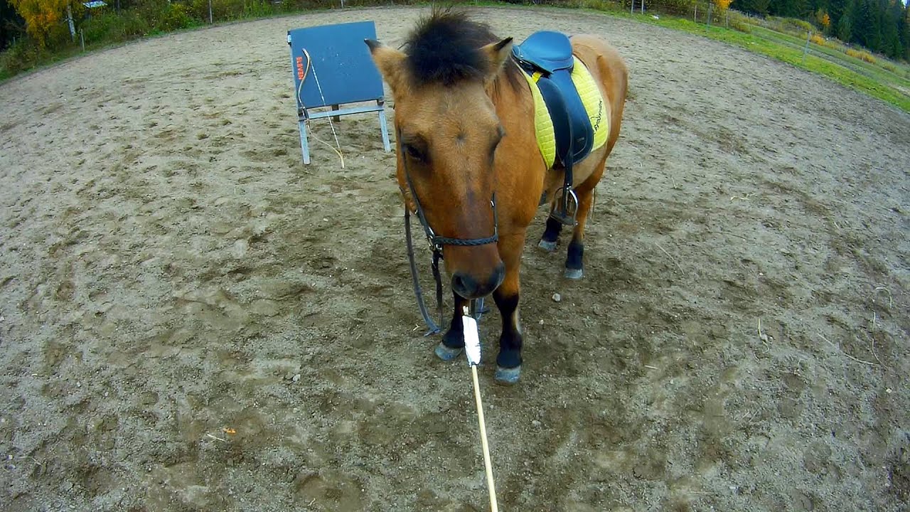 Training Baldur for horseback archery - Part 1 (Helmet Cam)