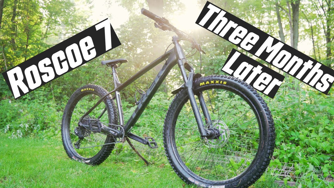 Trek Roscoe 7 2021 Three Months Later Is it any good?