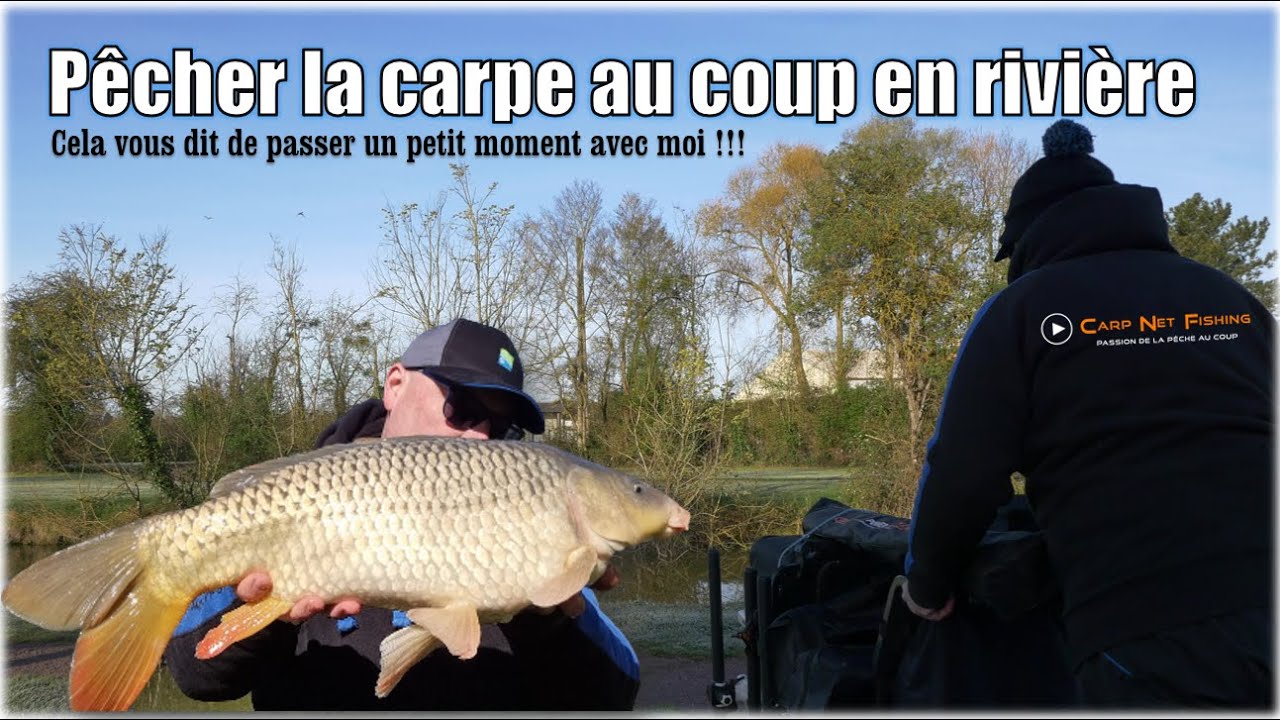 🎥🎞Pêcher la carpe en rivière au coup, ça vous tente !!! 🤟💪