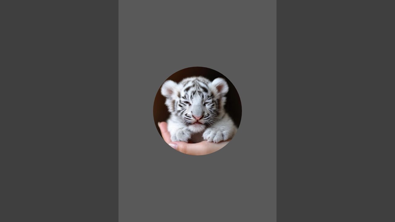 Мир Милоты - World of Cuteness в прямом эфире!