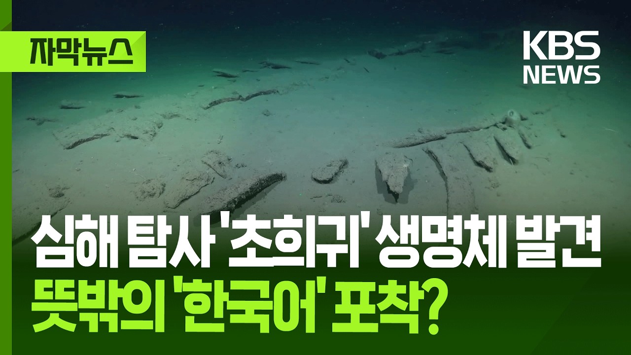 [자막뉴스] 아르헨티나 심해 탐사 중 '초희귀' 생명체 발견…그리고 뜻밖의 '한국어' 포착? / KBS 2026.02.10.