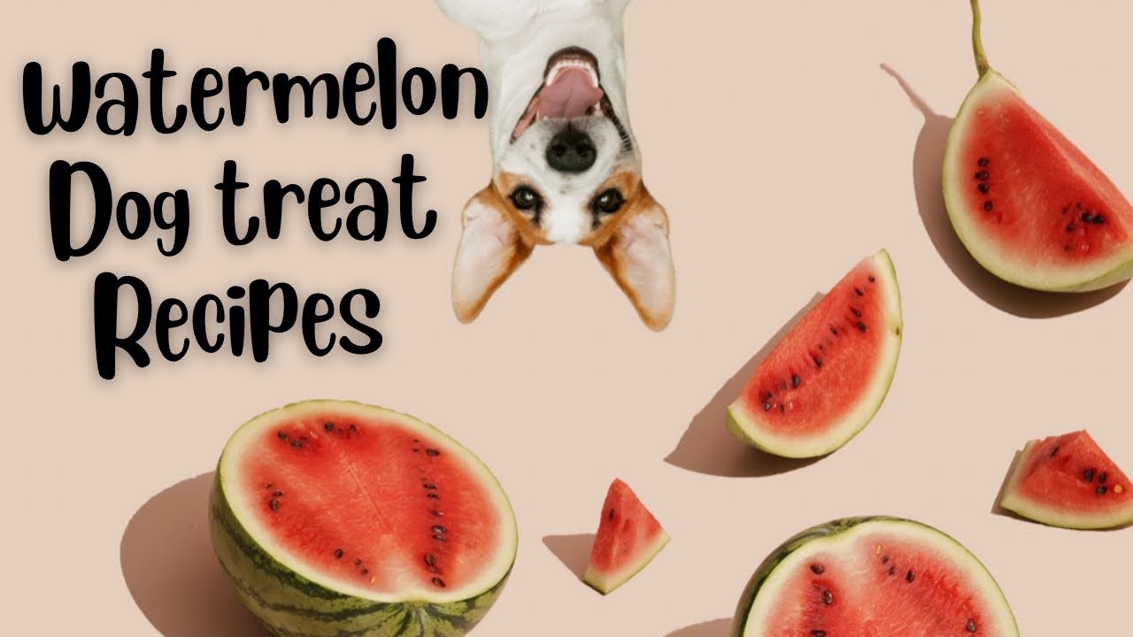 Frozen Watermelon Dog Treat Recipes | 4 Easy ways to make watermelon dog treats