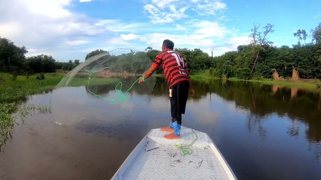 Net cast fishing in the Amazon Brazil