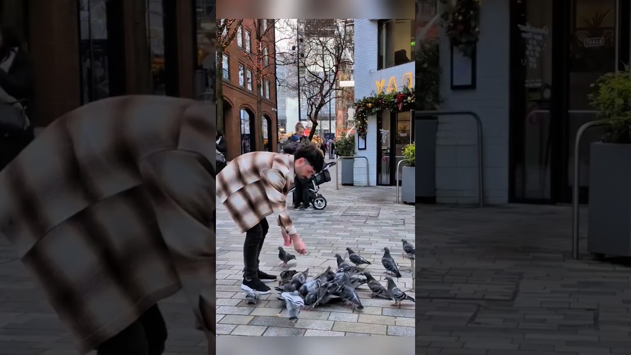 The Boy Rescued a Pigeon with Tangled Feet 
