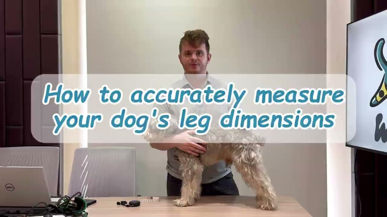 How to Measure Your Dog for a Wuvra Custom Brace | Complete Step-by-Step Guide