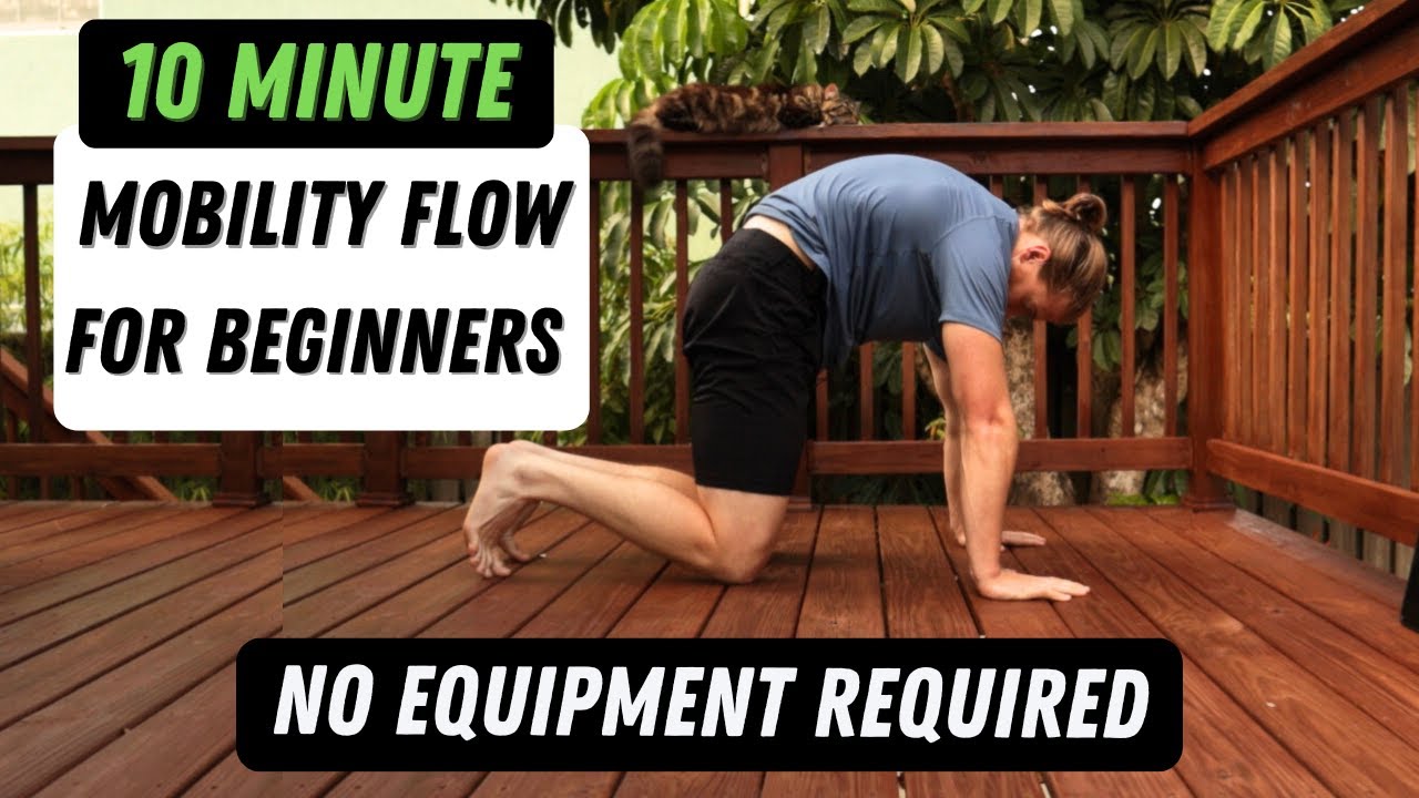 10 minute mobility flow for beginners w/ modifications!