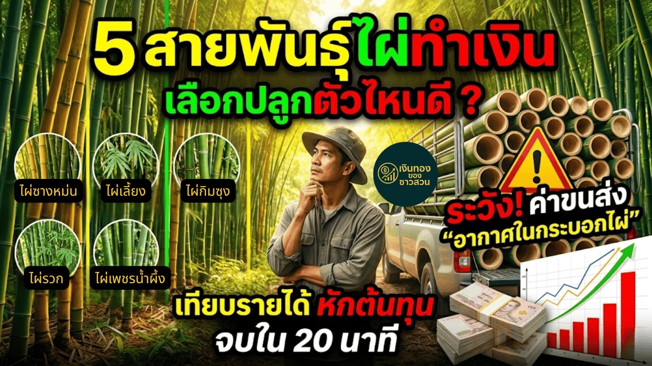 เทียบ
