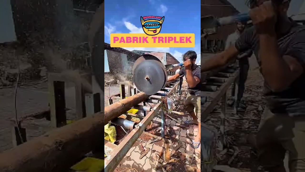 BARU TAHU PRODUKSI TRIPLEK!?