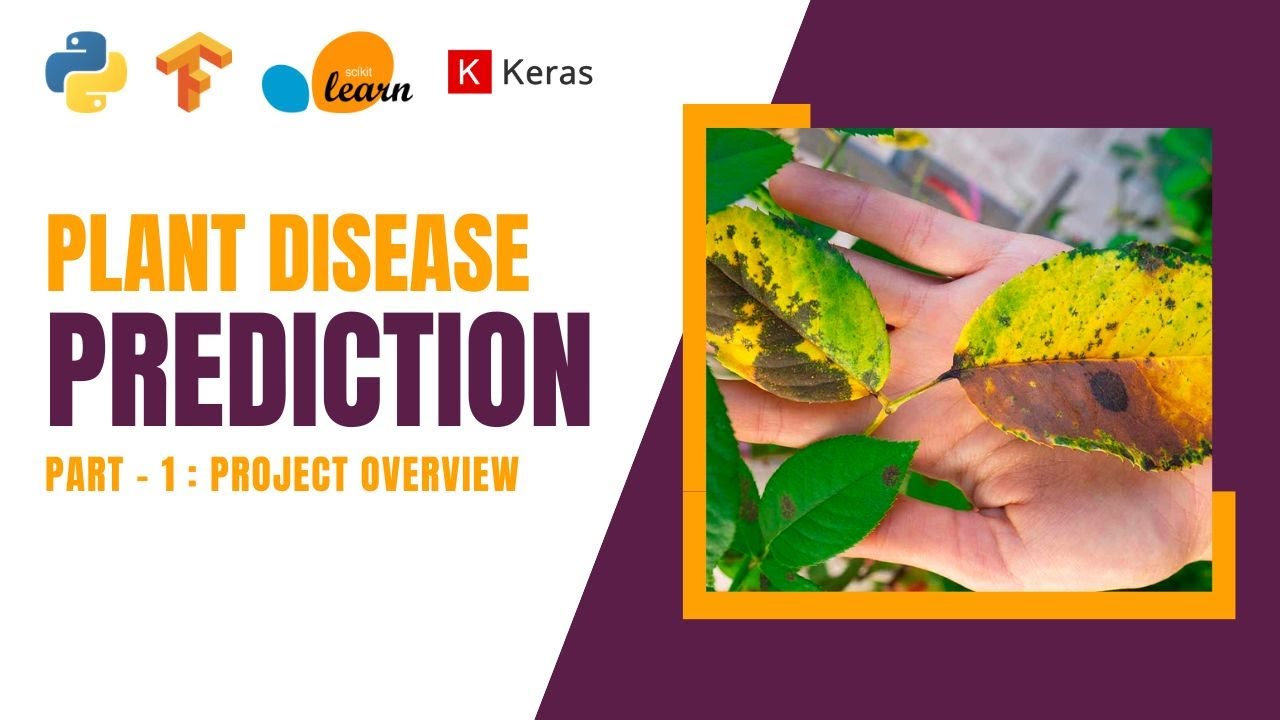 Plant Disease Detection System Introduction | Image Classification Project | Overview of Project