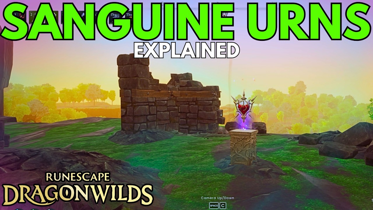 RuneScape Dragon Wilds: всё о сангвиновых урнах!