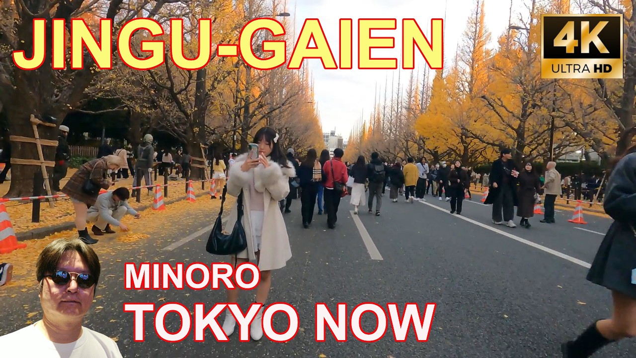 [4K] Jingu-Gaien 11/22/2025 | 神宮外苑@TOKYO NOW