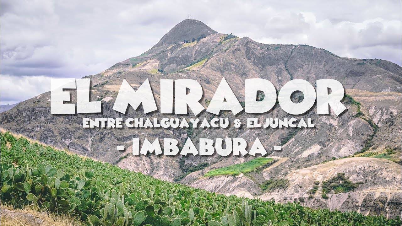 Valle del Chota -El Mirador entre el Juncal & Chalguayacu