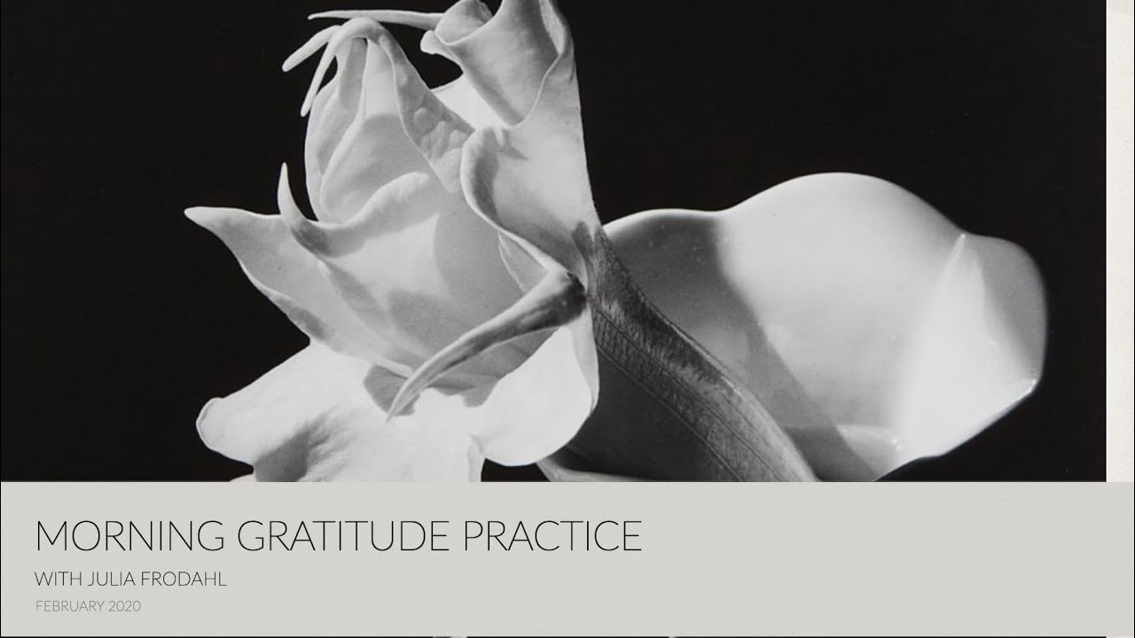 Morning Gratitude Meditation with Julia Frodahl