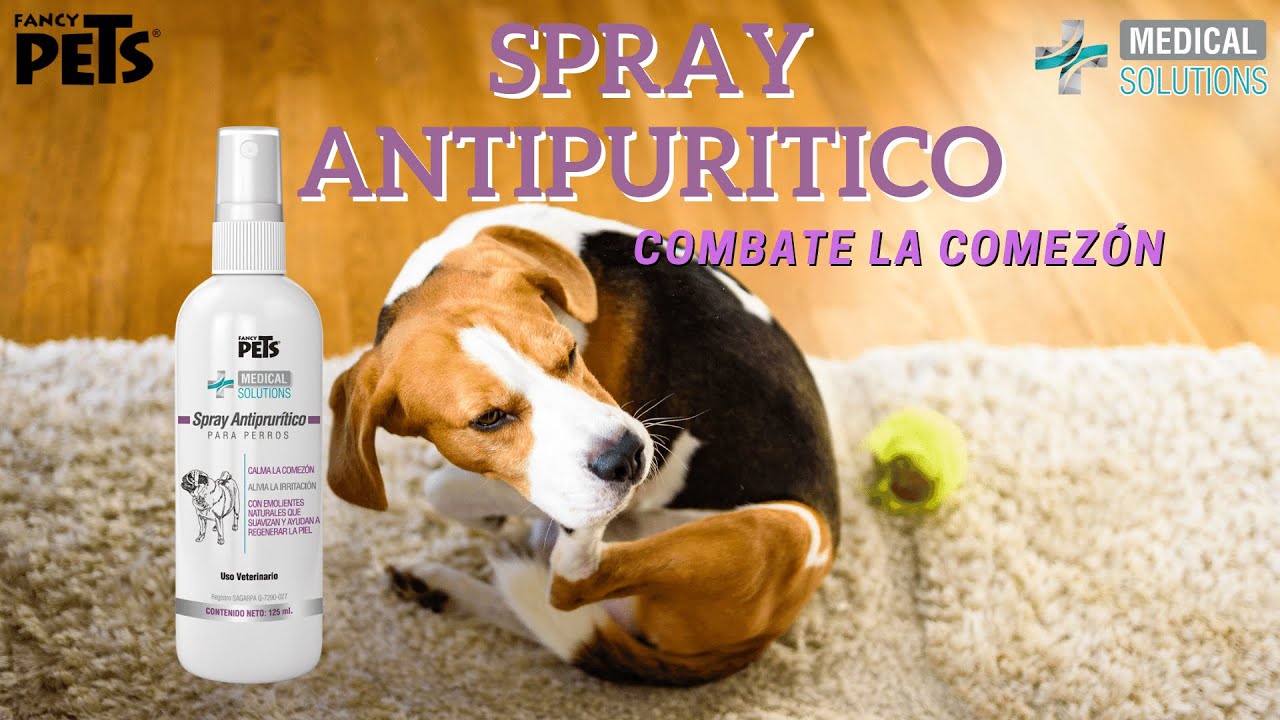 La comez&oacute;n en tu perro | Fancy Pets