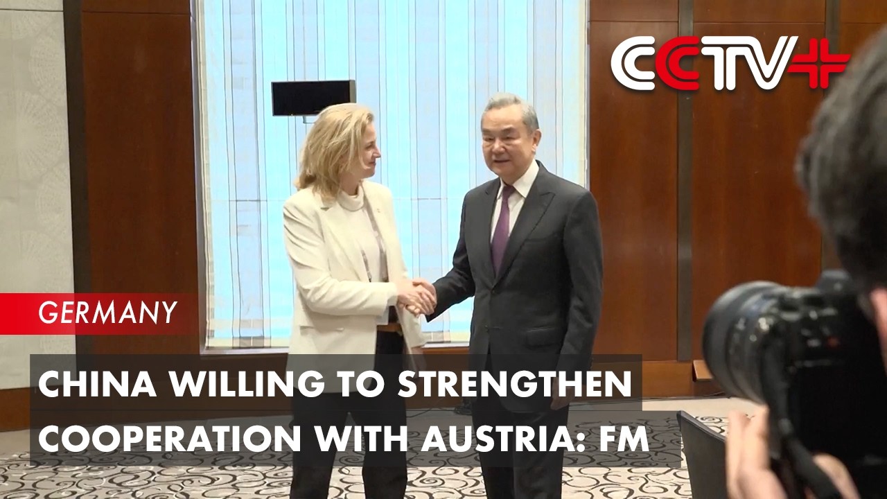 China Willing to Strengthen Cooperation with Austria: FM