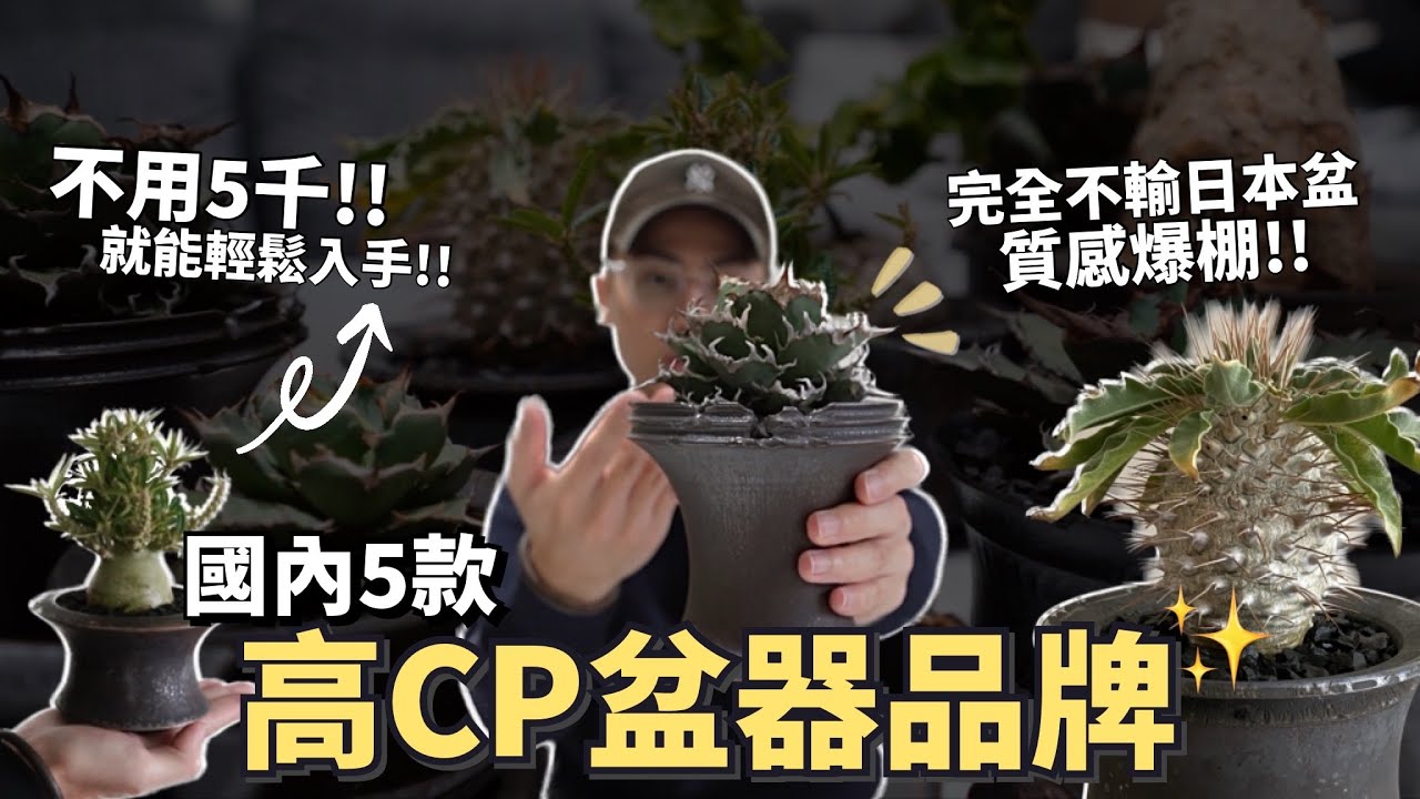 誰說國內沒好盆？推薦5大盆器品牌！ 超高CP值！質感爆棚！不用台幣5千就能入手🤩2023【推你入坑】
