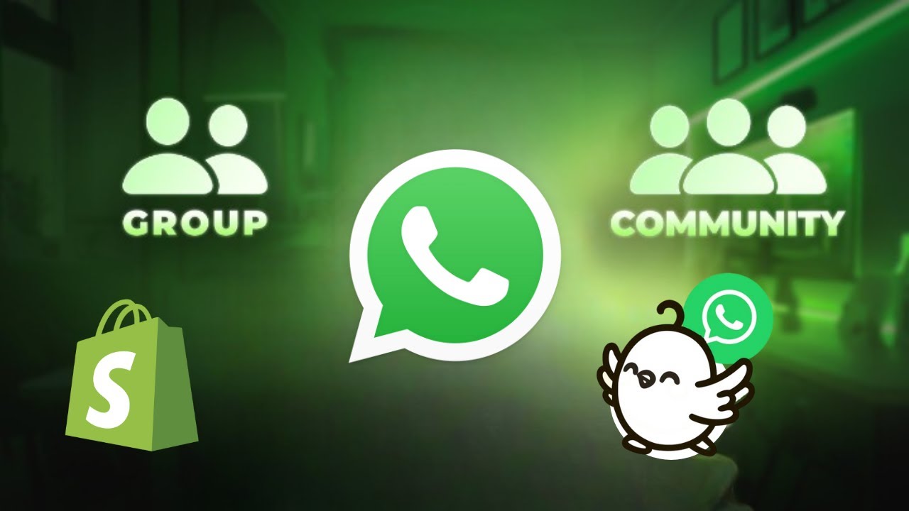 Groupe Vs Communaut&eacute; Vs Canal Vs API : Comment utiliser WhatsApp  pour son E-commerce Shopify