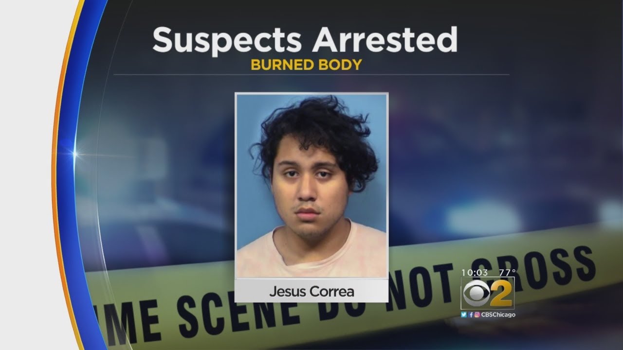 Teen Killed In West Chicago Stabbed, Run Over, And Burned Alive; 3 Teens Charged