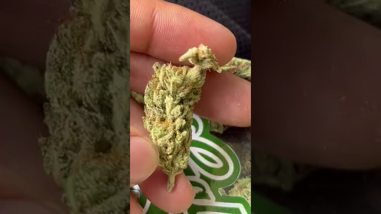 Fresh Baked Georgia Pie strain review with some Raw Garden THC Bomb LR 💣🔥🍑🥧