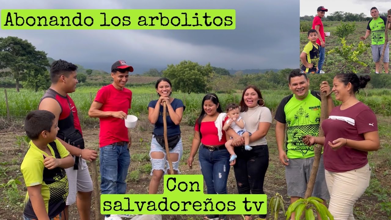 Como abonar c&iacute;tricos con salvadore&ntilde;os tv