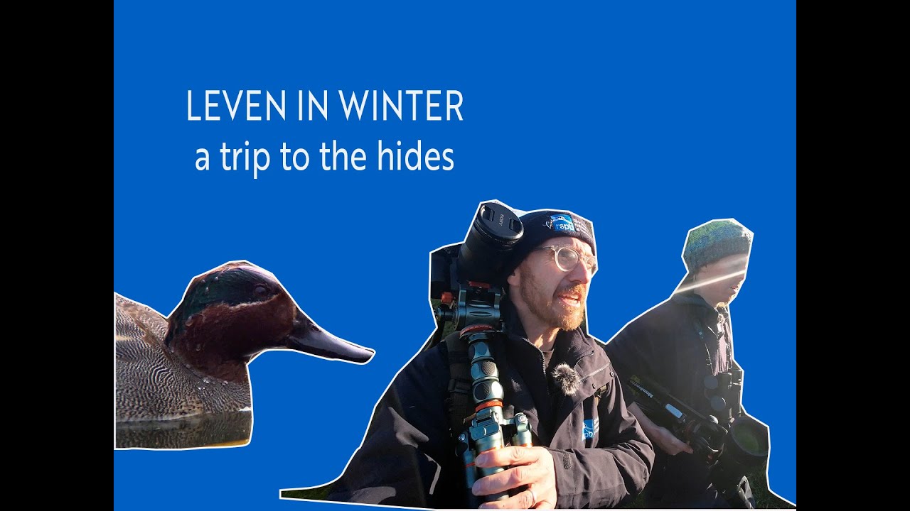 LEVEN IN WINTER - a trip to the hides