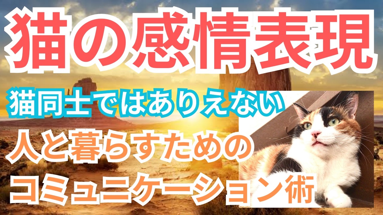 猫の日に語る猫の不思議な力、人間との生活のために編み出した技とは・・・
