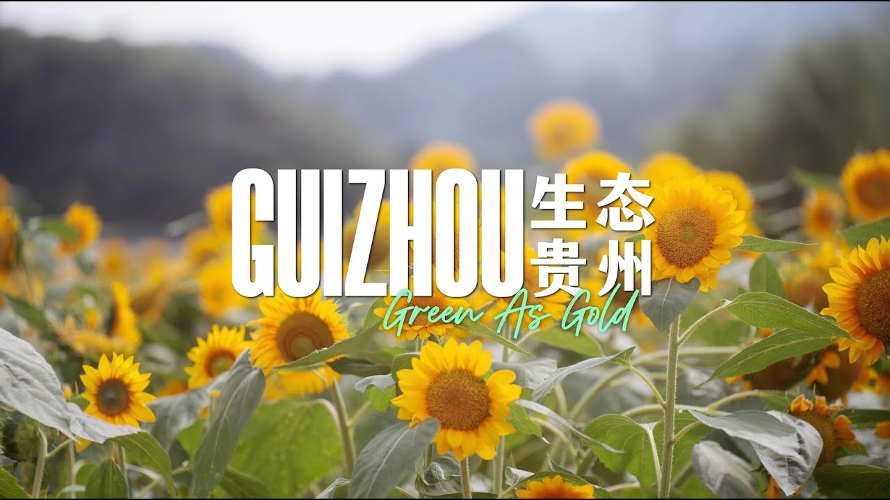 Documentary | Guizhou: Green As Gold [4K]