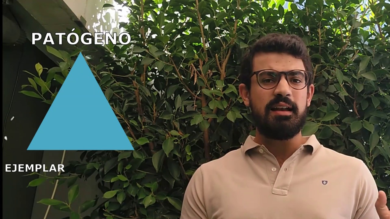 MEGABACTERIAS - CÓMO LAS ELIMINÉ