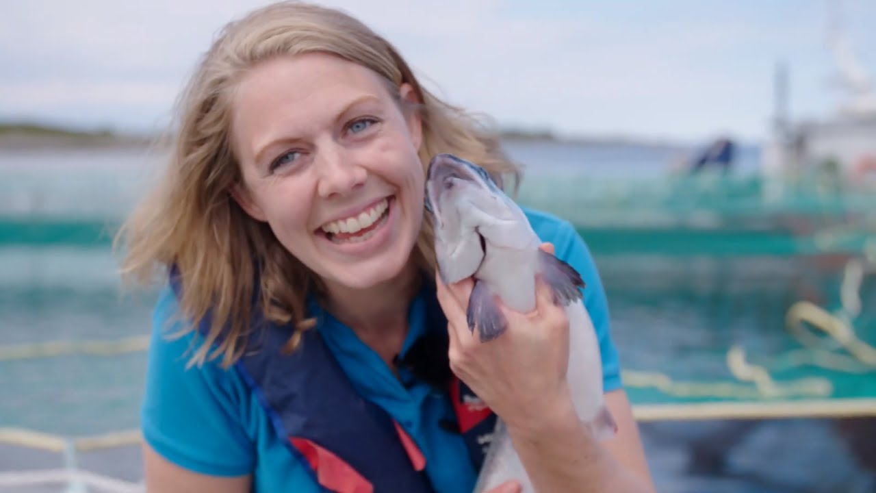 Laks fra Svanøy Røykeri 🐟 | Smakslandet S3 • Episode 1 | Spesialitet