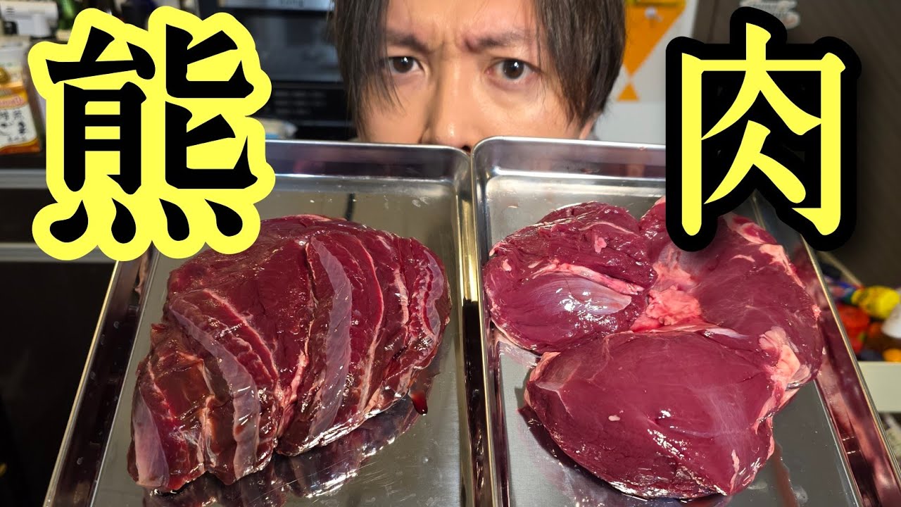熊肉が旨ければ熊問題は解決するの？