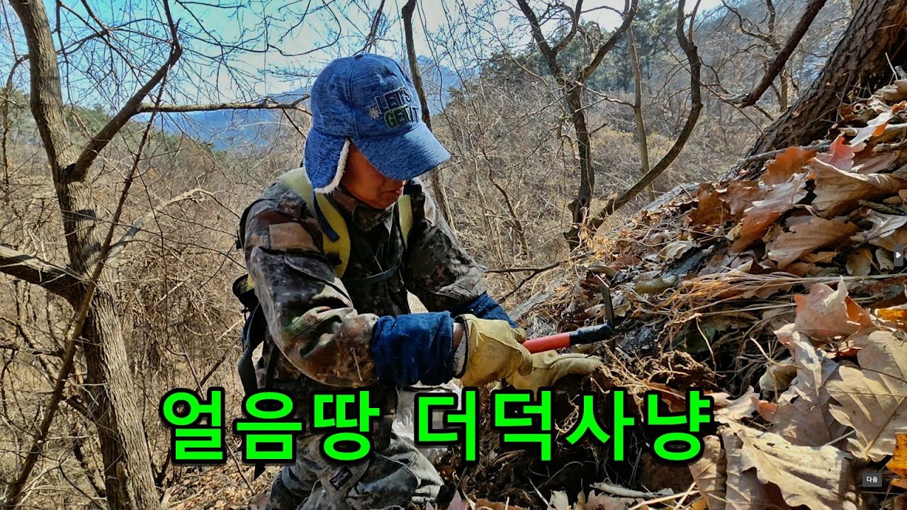 최강한파 얼음땅 더덕사냥