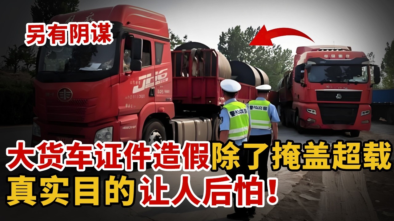 大货车证件造假！除了掩盖超载，真实目的让人后怕！【中国110】