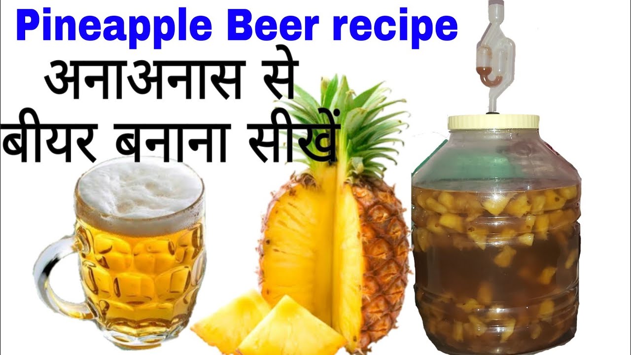 बीयर बनाना सीखें अनाअनास का। Pineapple Beer make at home. Wine & Food recipes