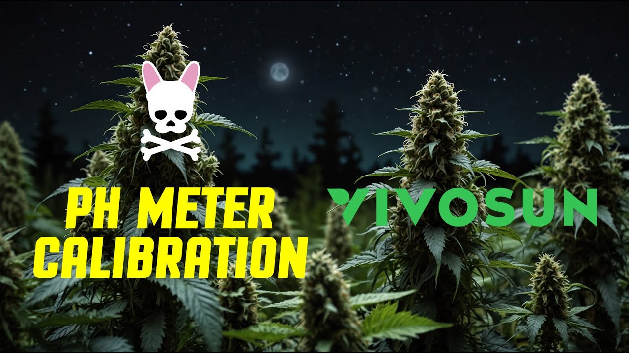 How to calibrate a pH meter for DWC, Coco, and Soil - Vivosun