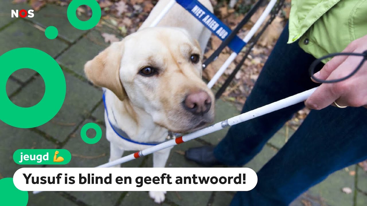 Wat zie je als je blind bent?