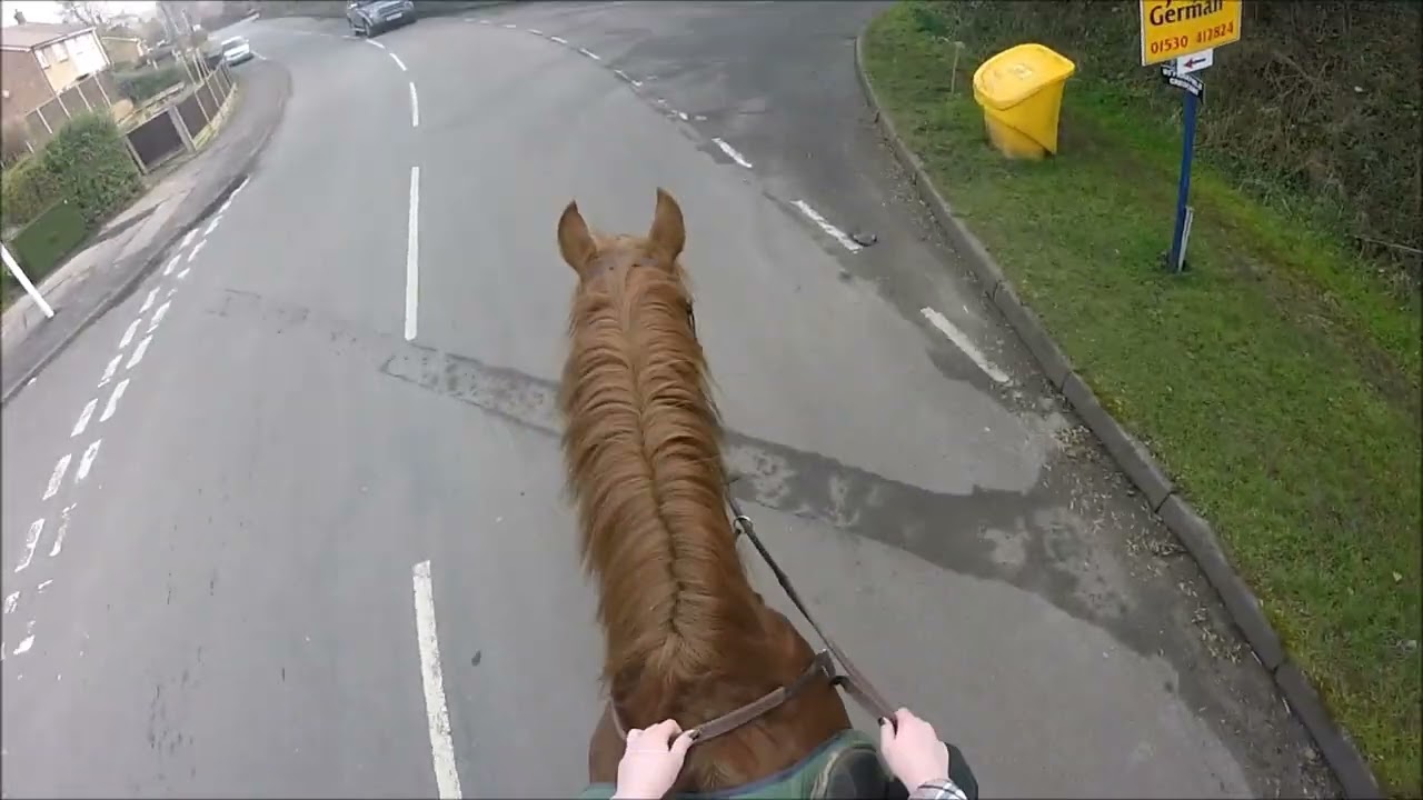 hacking on mr p 12 march