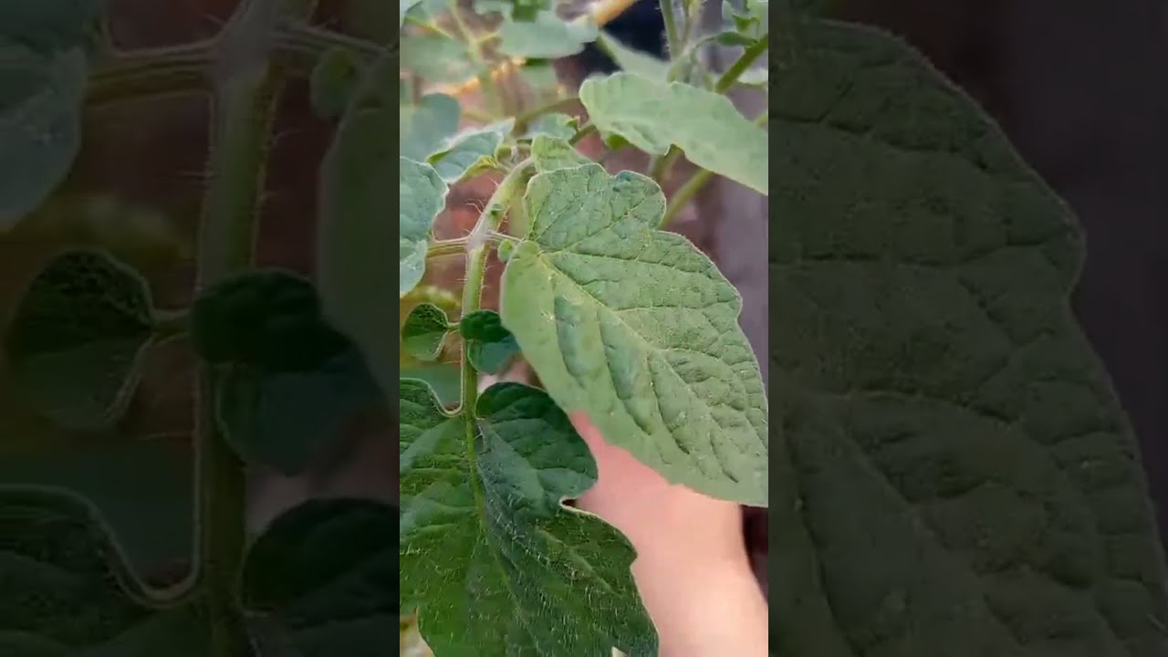 NATURE LOVER is live!