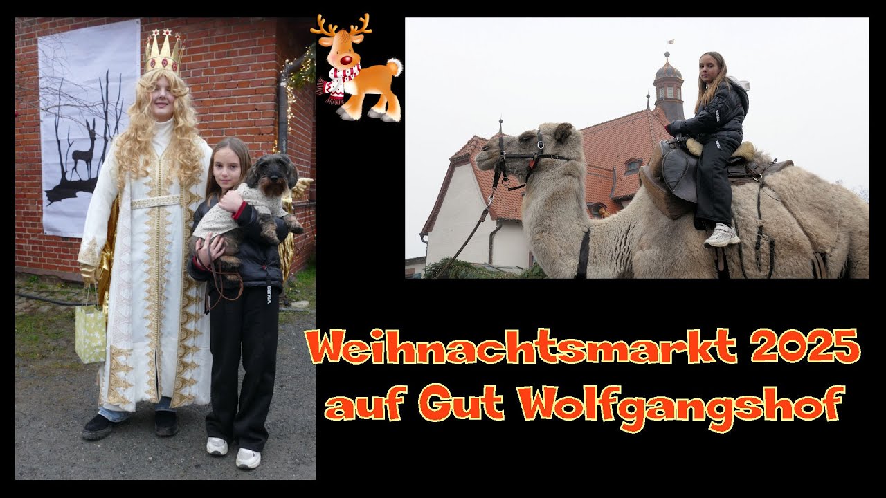 Traditioneller Weihnachtsmarkt auf Gut Wolfgangshof – Ein Wintermärchen! ✨🎄