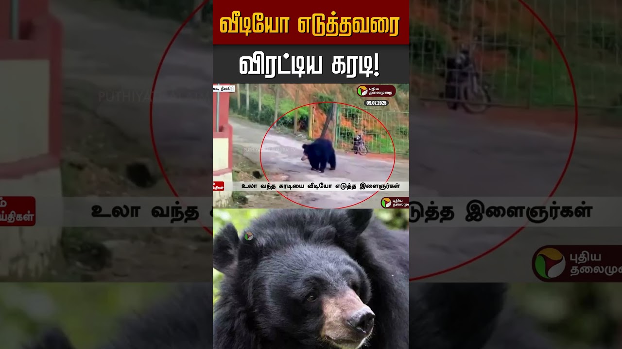 வீடியோ எடுத்தவரை விரட்டிய கரடி | Nilgiri | Ooty