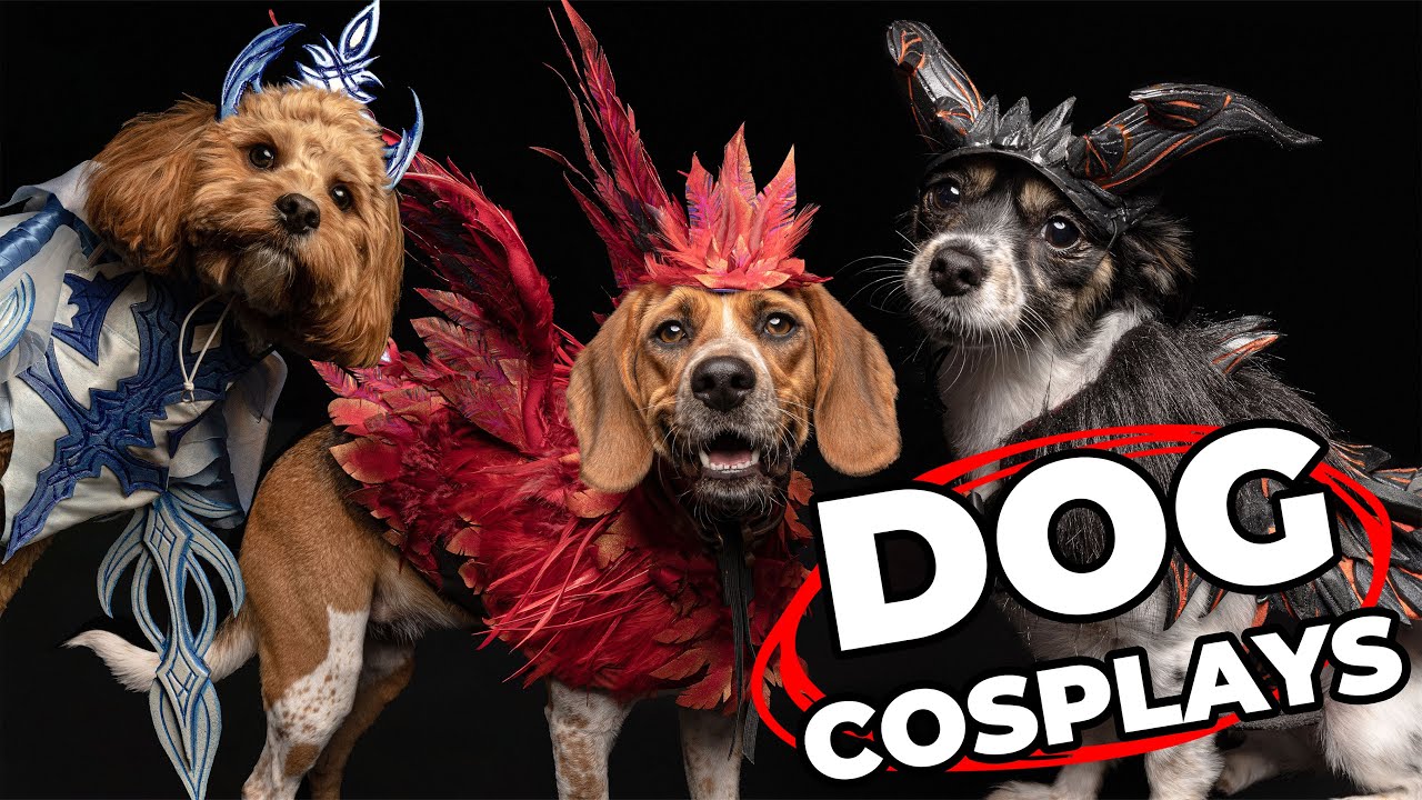 Cosplay for dogs?? Making Final Fantasy dog costumes!