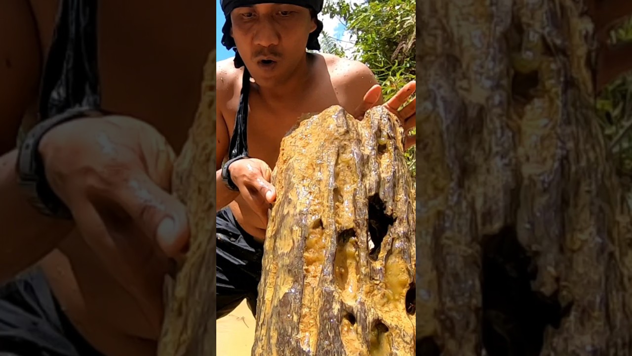 Wow..fossil wood stone ancient times#gemstones #agate #diamond #fossils #jade #petrifiedwood