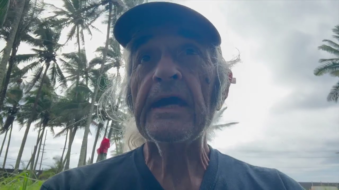 The Story Of The Coco Palms Pumps